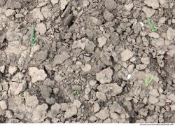 Ground Soil